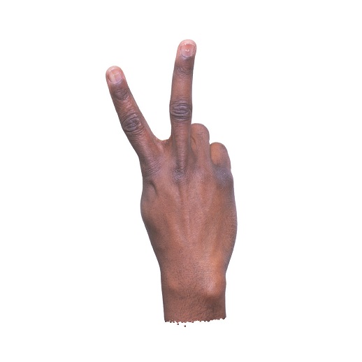 fingers