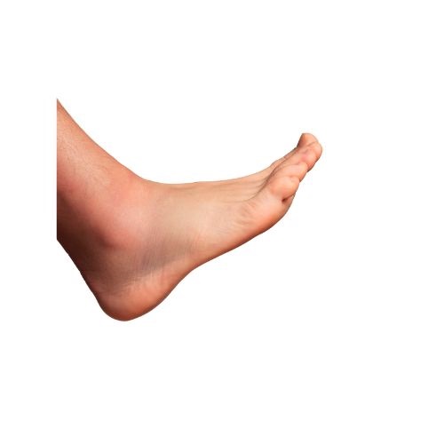 foot