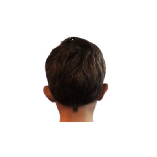 head