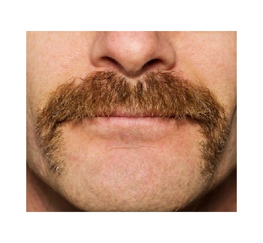 mustache