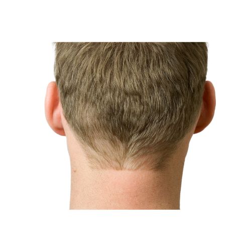 neck
