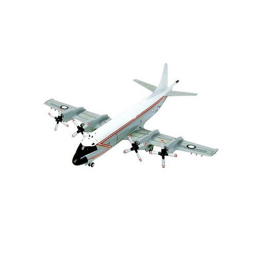 airplane in verbal behavior  category