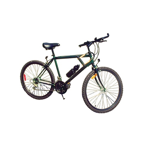 bike in verbal behavior  category