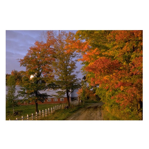 fall in verbal behavior  category