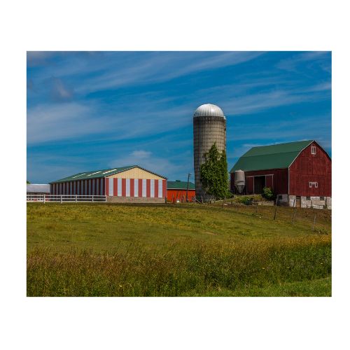 farm in verbal behavior  category