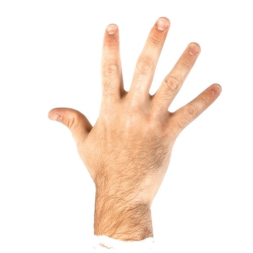 fingers in verbal behavior  category