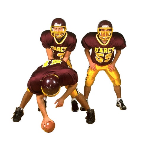 football in verbal behavior  category