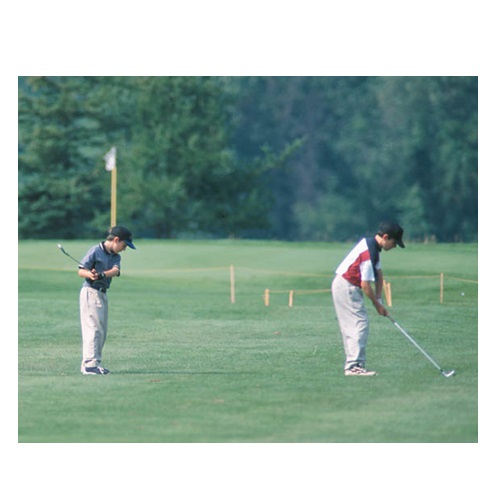 golf in verbal behavior  category