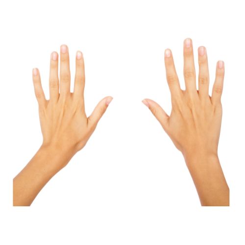 hands in verbal behavior  category