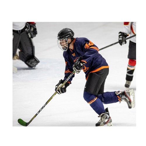 hockey in verbal behavior  category