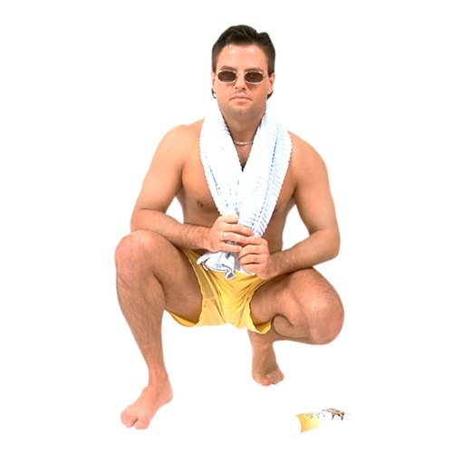 lifeguard in verbal behavior  category