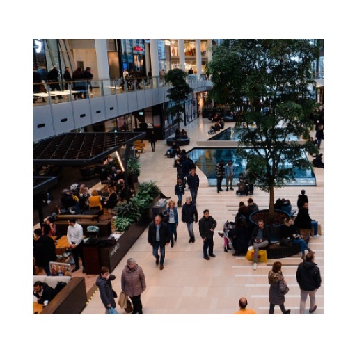 mall in verbal behavior  category