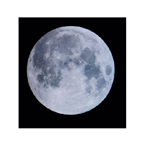 moon in verbal behavior  category