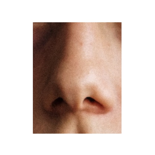 nose in verbal behavior  category