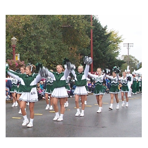 parade in verbal behavior  category