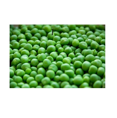 peas in verbal behavior  category