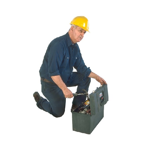 plumber in verbal behavior  category