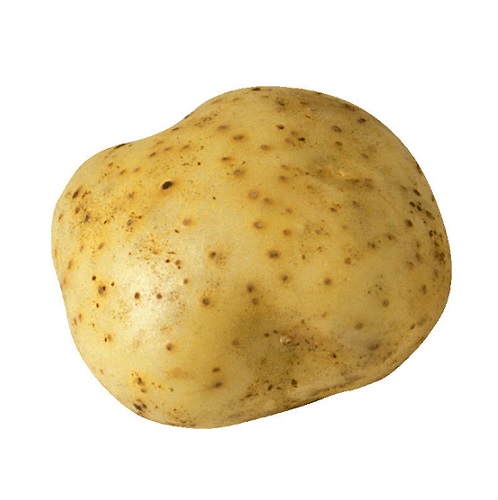 potato in verbal behavior  category
