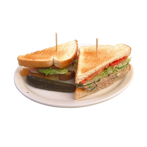 sandwich in verbal behavior  category