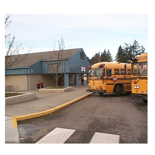 school in verbal behavior  category