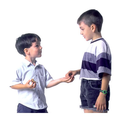 share in verbal behavior  category