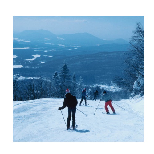 skiing in verbal behavior  category