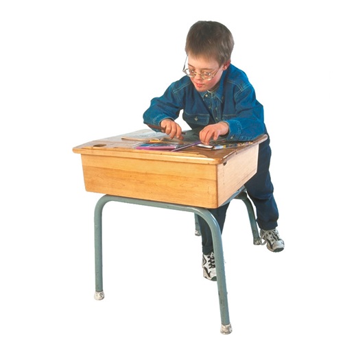 student in verbal behavior  category