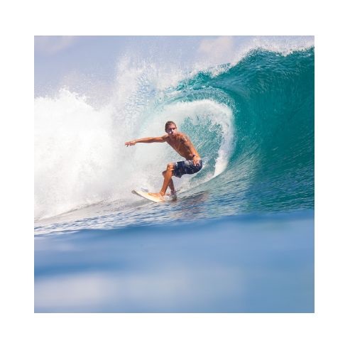 surfing in verbal behavior  category