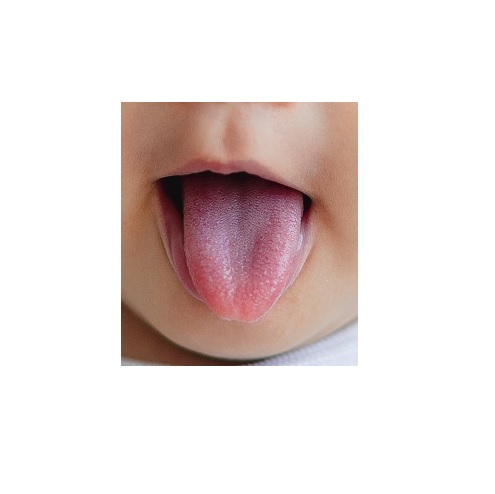 tongue in verbal behavior  category