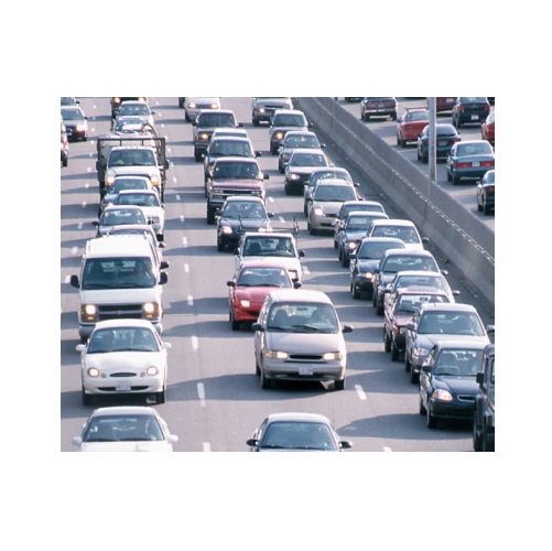 traffic in verbal behavior  category