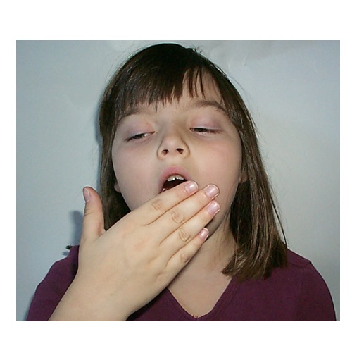 yawn in verbal behavior  category